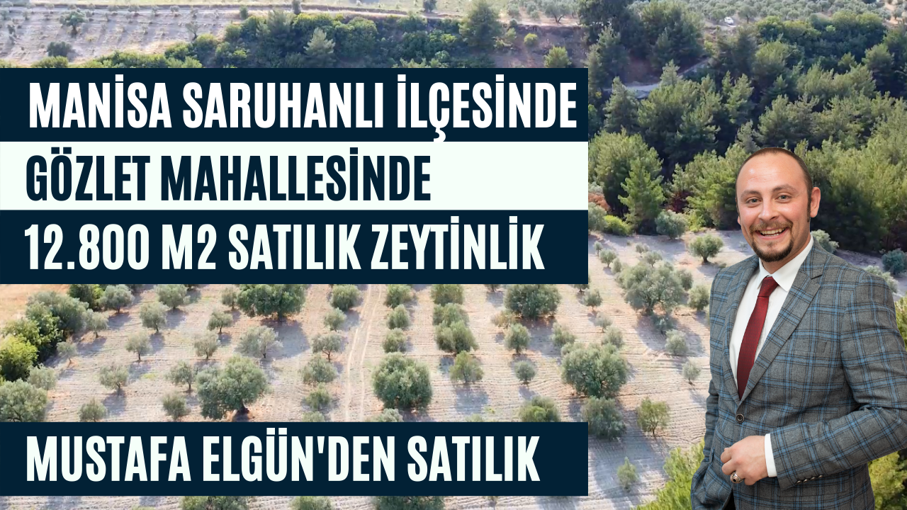 SATILIK ZEYTİNLİK- Satılık Zeytinlik Bahçesi - Satılık Zeytin Bahçesi - Ege Köyleri Satılık